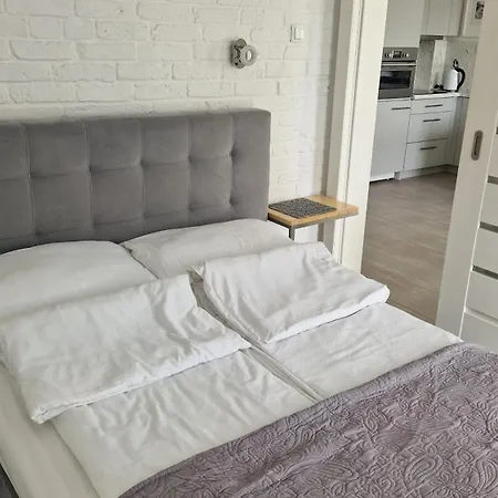 Apartament Bialy Nr 40 *